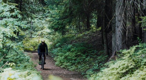 Cyclist biking thru forest trail