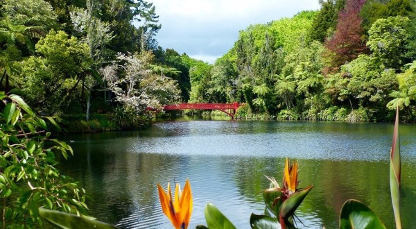 Pukekura Park lake view Spring season  FocusFillWyIwLjAwIiwiMC4wMCIsMTIwMCw1NzZd