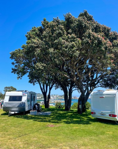 view - caravans, large trees, ocean - IMG 2851