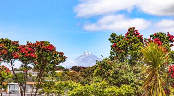 NewPlymouth Spring