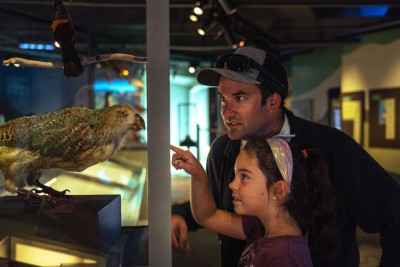 Puke Ariki Museum, Library, and i-SITE, father and doughter looking at a display