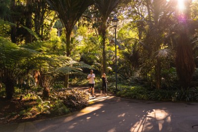 Pukekura Park - sun streaming thru the tress as two joggers run.